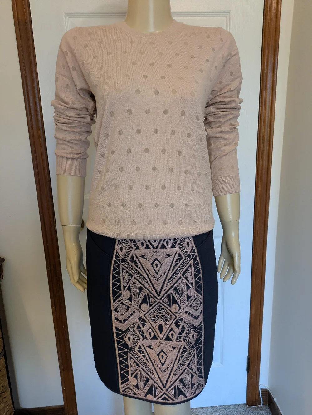 Tibi Pencil Skirt with Blush Embroidered Panel, ASO Serena Van Der Woodsen NWOT - Picture 13 of 16